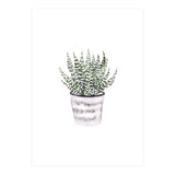 Potted Plant (Print Only) thumbnail