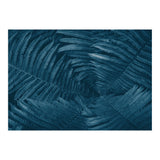 Pteridopsida 4 (Print Only) thumbnail