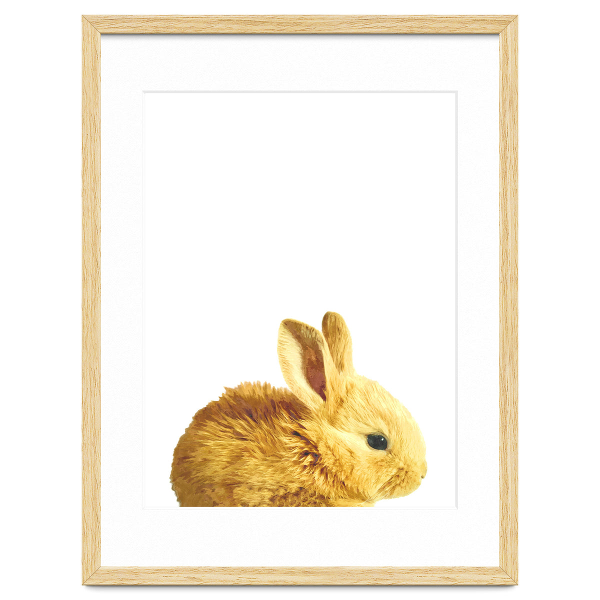 Bunny Portrait