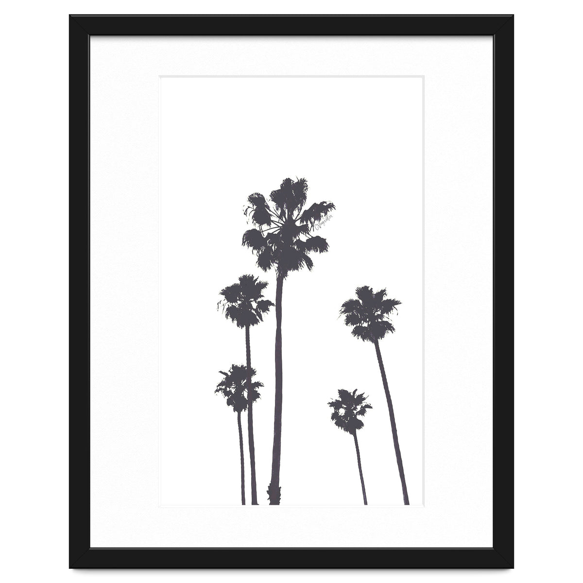 Palms & Sunset-Minimal B&W 2