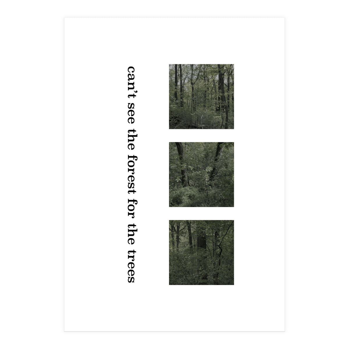 can’t see the forest for the trees (Print Only)