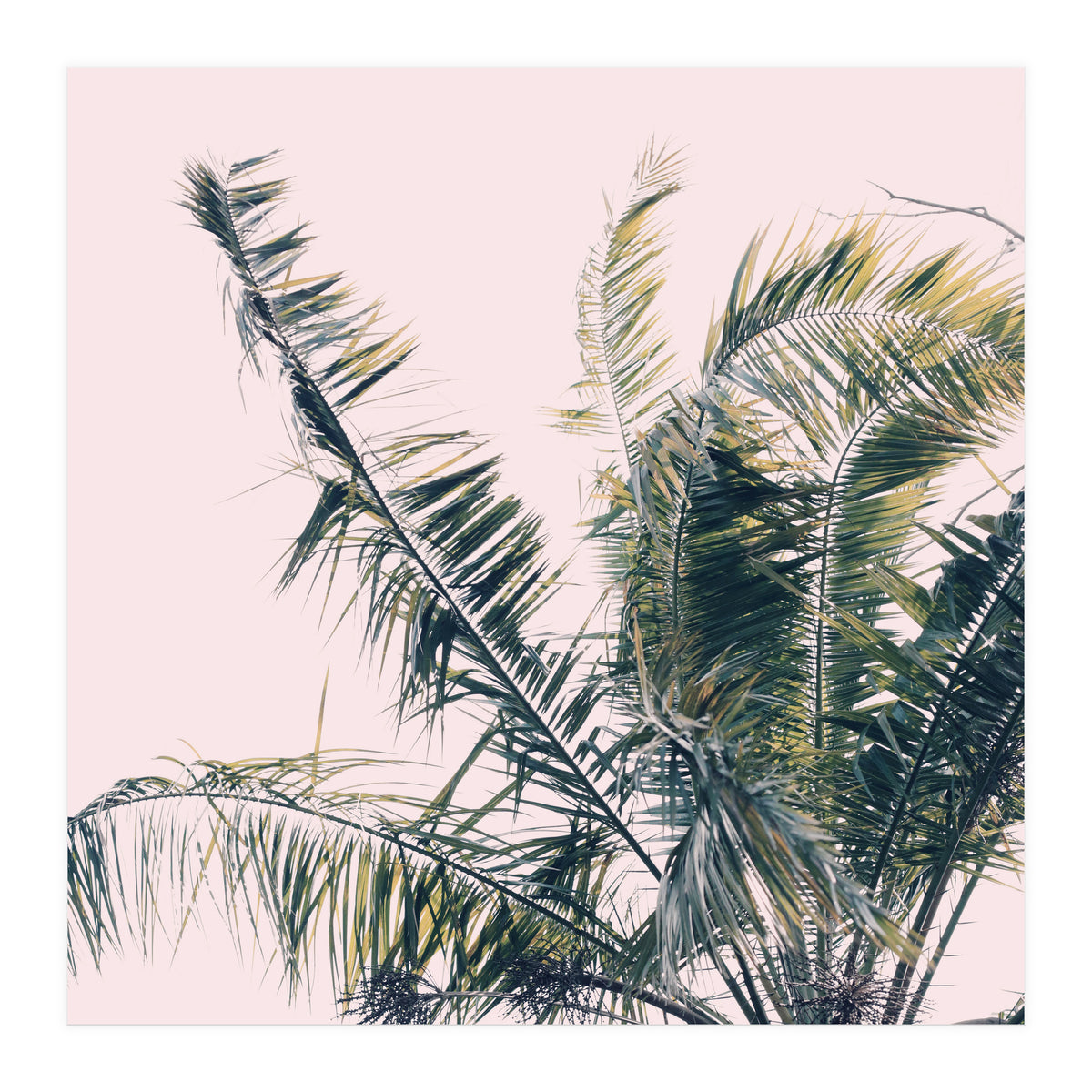 Winds Of Change #1 (Print Only)