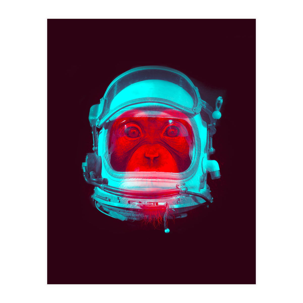 Astronaut (Print Only)