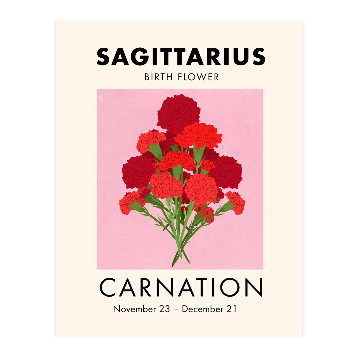 Sagittarius Birth Flower Carnation  (Print Only)