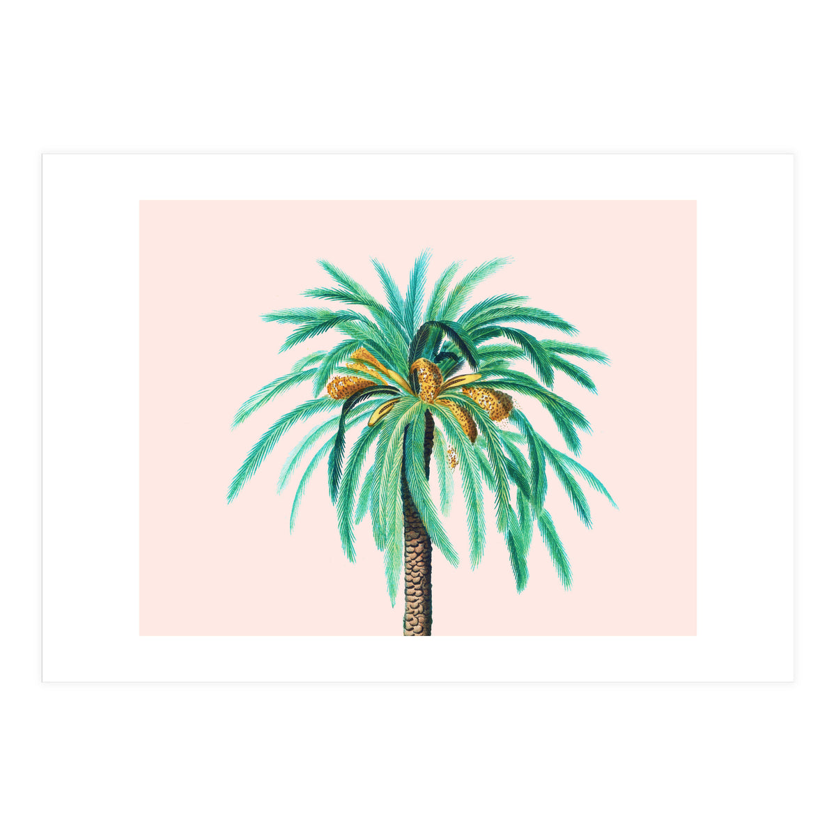 Coconut Island (Print Only)