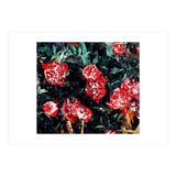 Dark Forest (Print Only) thumbnail