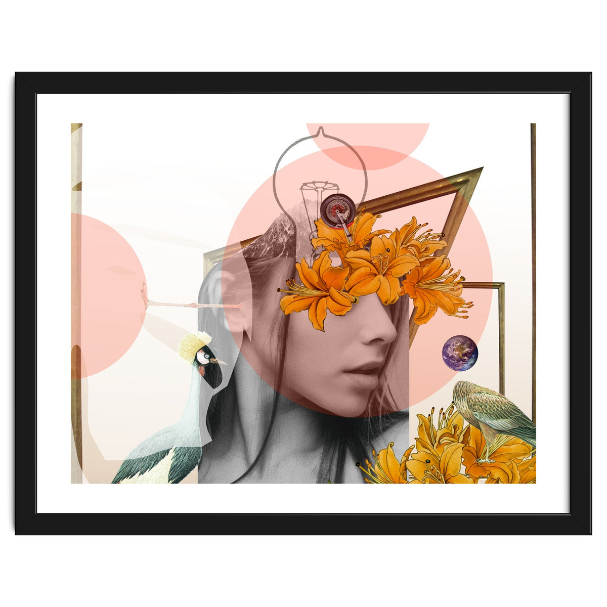 Dreamland Division · D