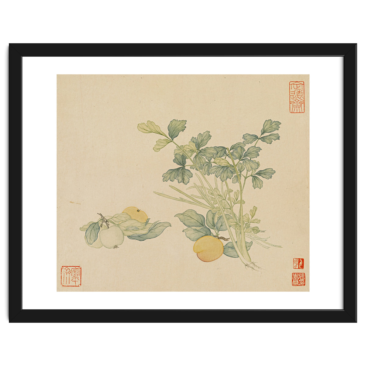 Wang Chengyu~flowers And Vegetables, Vegetables, Fruits, Plums, Apricots, Celery