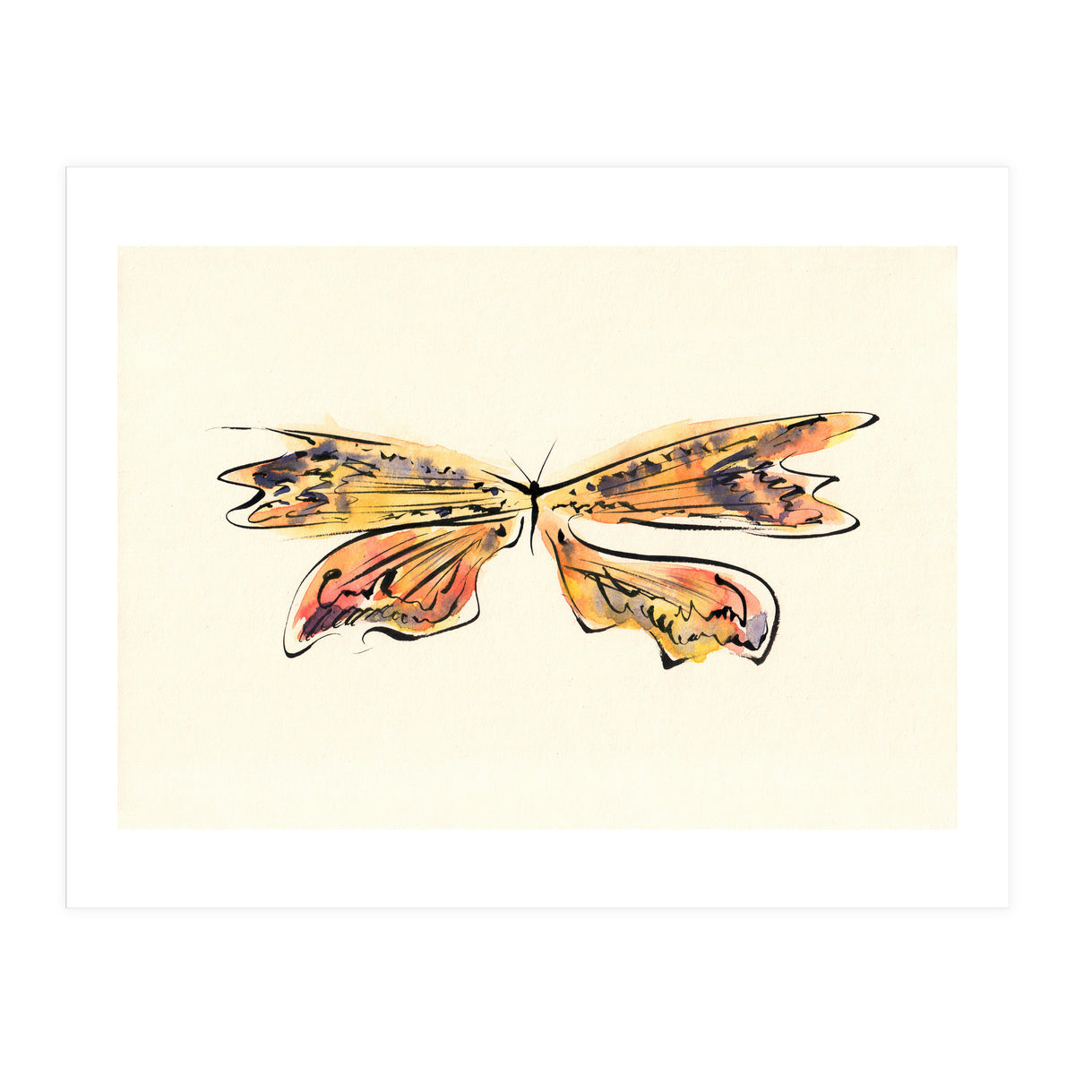 Ray (Print Only)