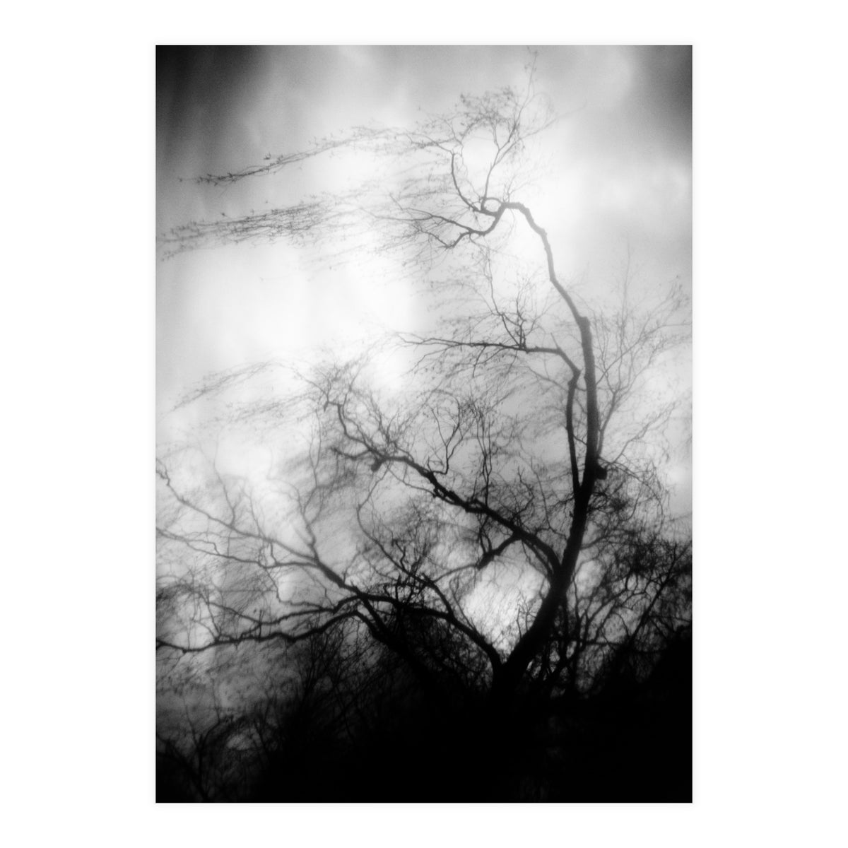 love wish (Print Only)