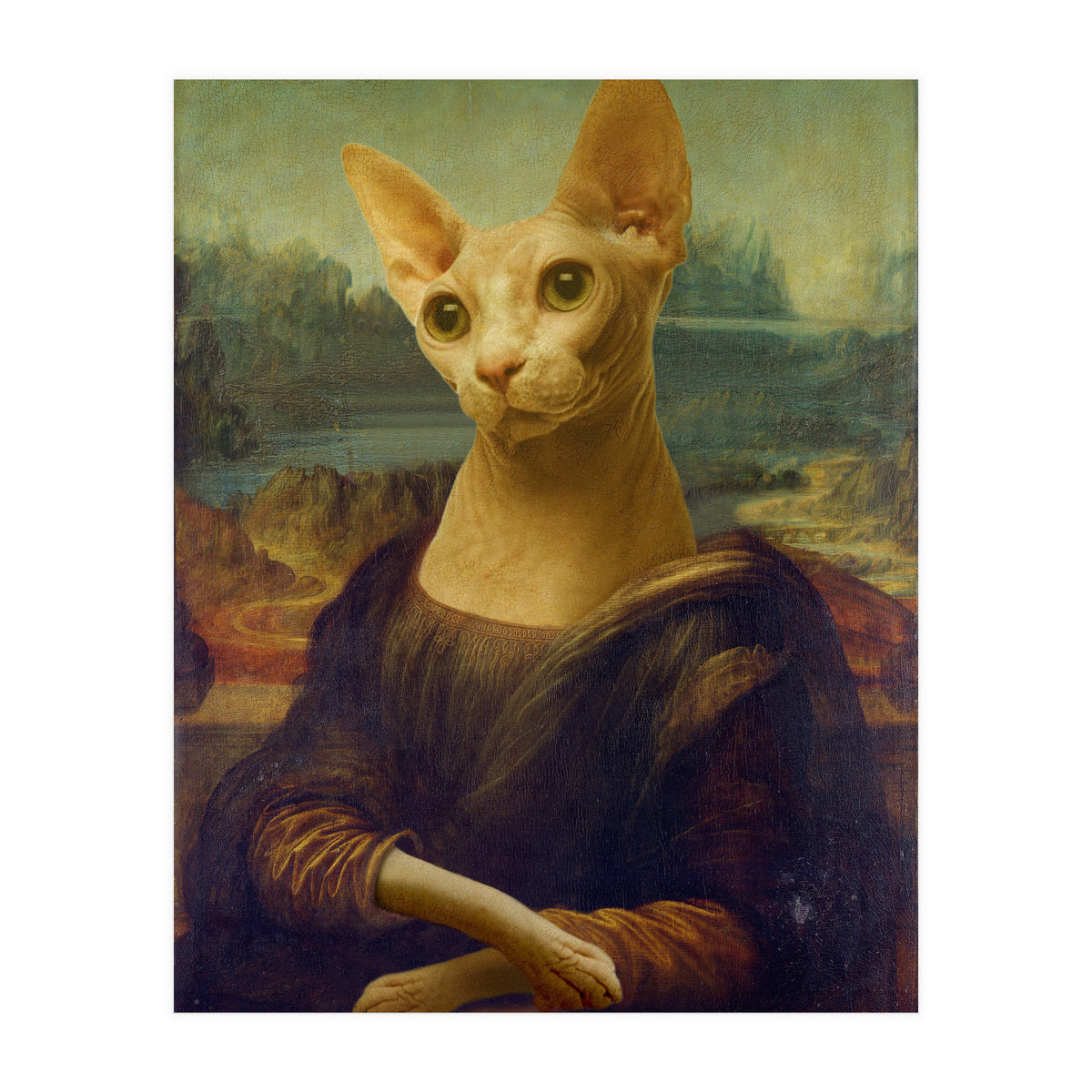 Mona Lisa Sphynx (Print Only)