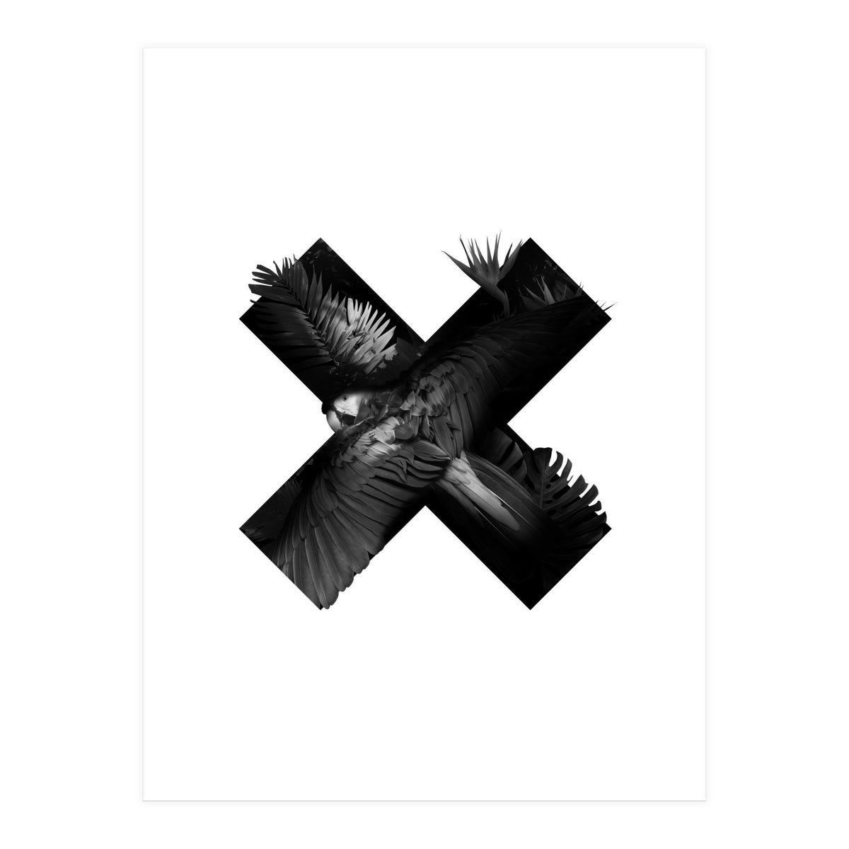 exotic nature (Print Only)