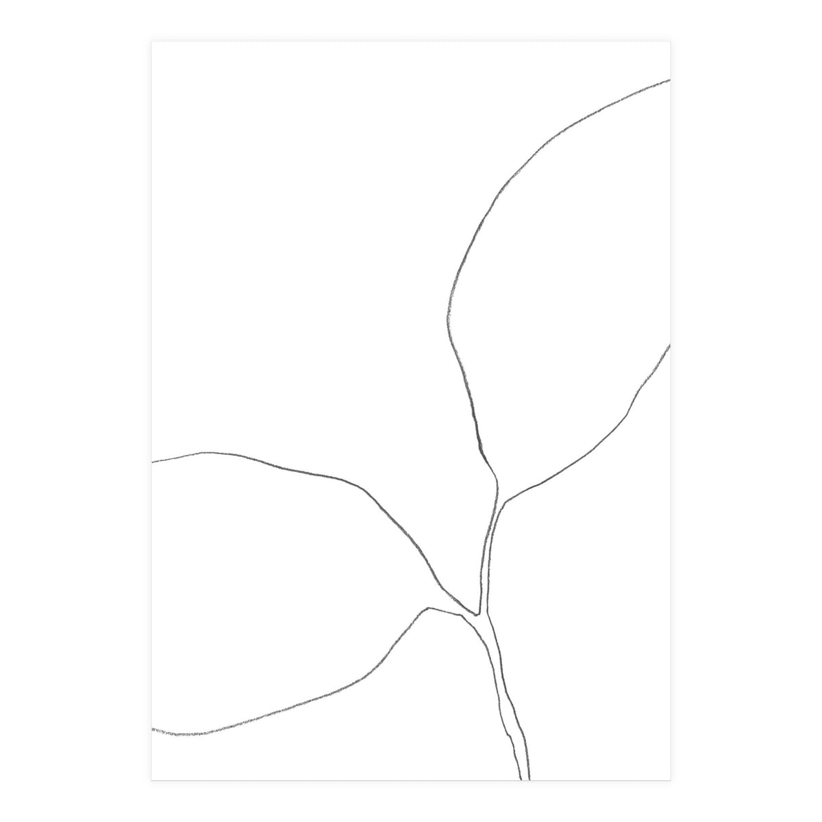 Seedling Leaning Left (Print Only)