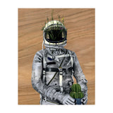 Cacti (Print Only) thumbnail
