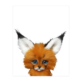 volpe (Print Only) thumbnail