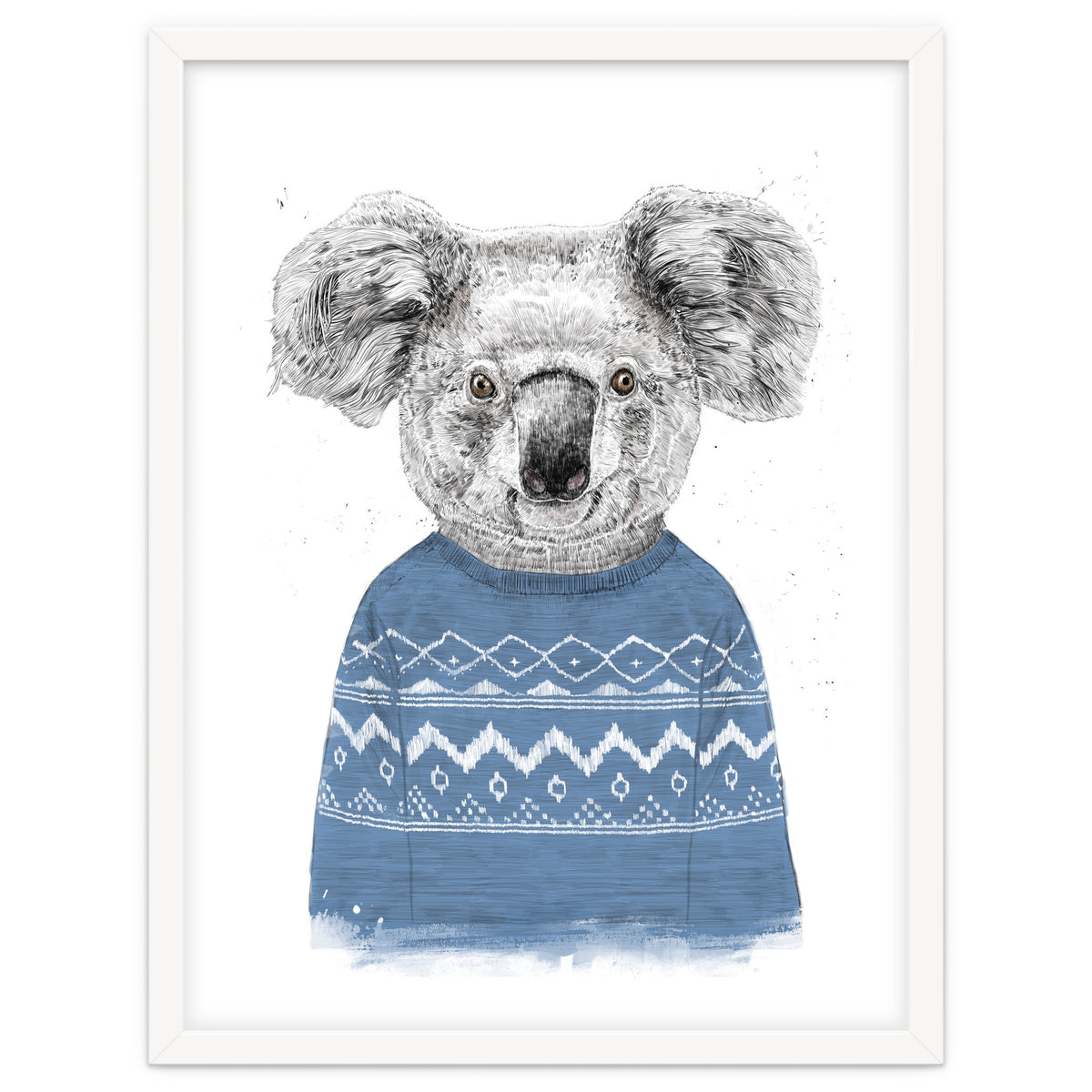 Winter Koala