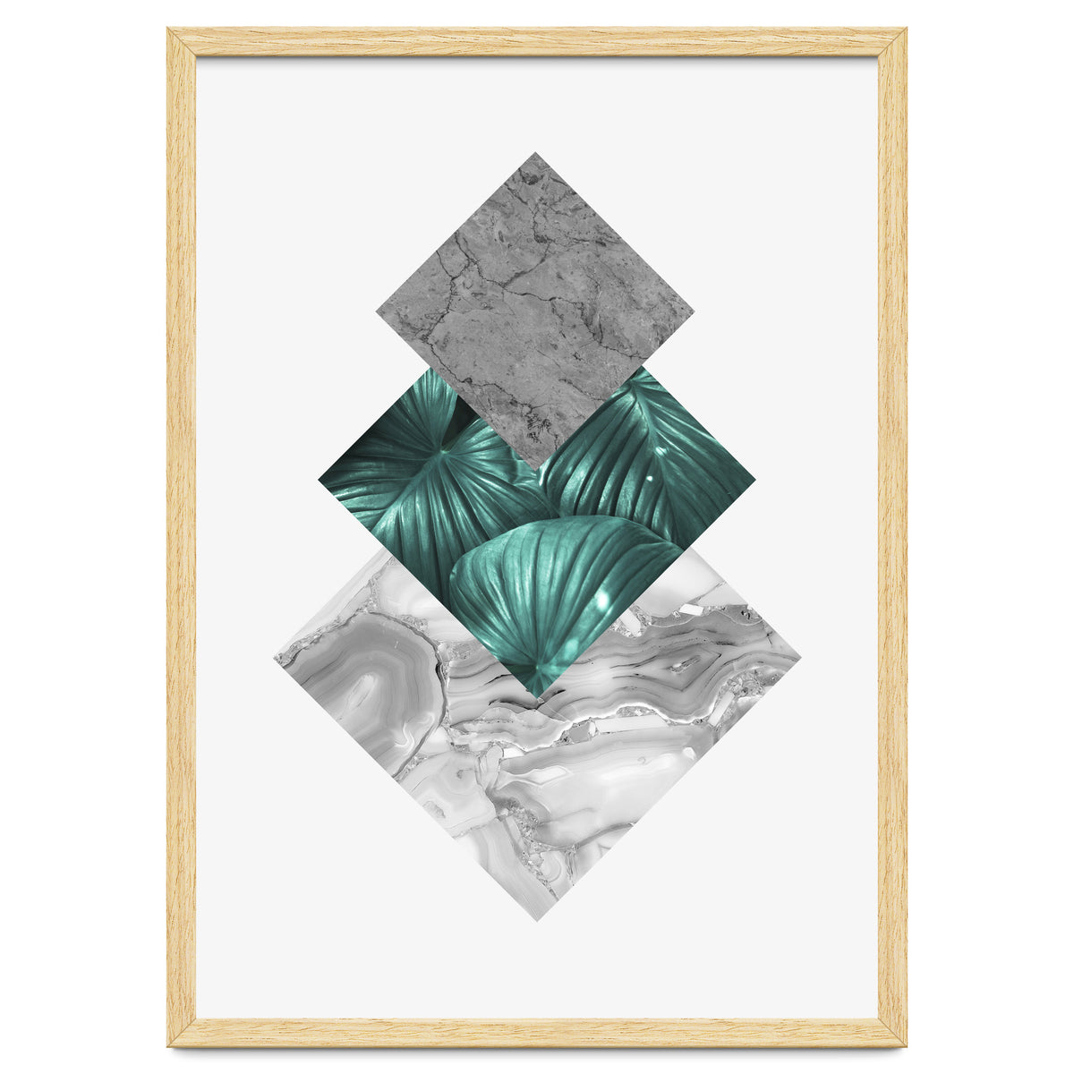 Botanical and geometric V