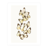 Cc Butterflies 01 (Print Only) thumbnail