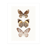 Cc Butterflies 06 (Print Only) thumbnail