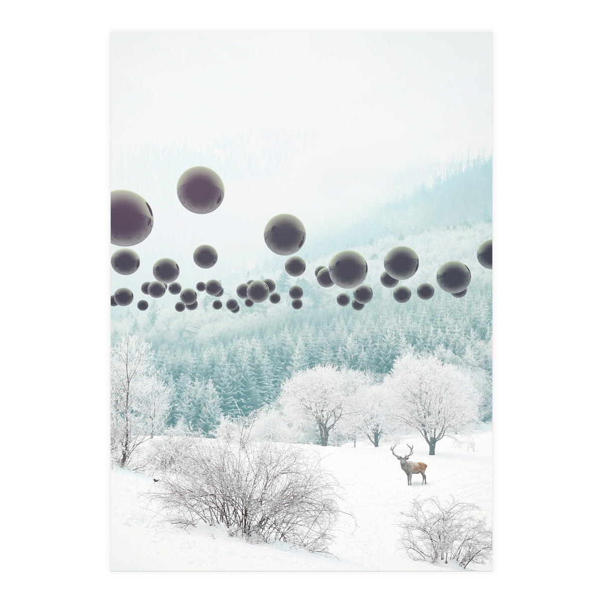 Forest Phantom (Print Only)