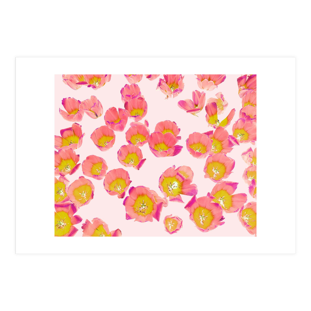 Flower Therapy (Print Only)