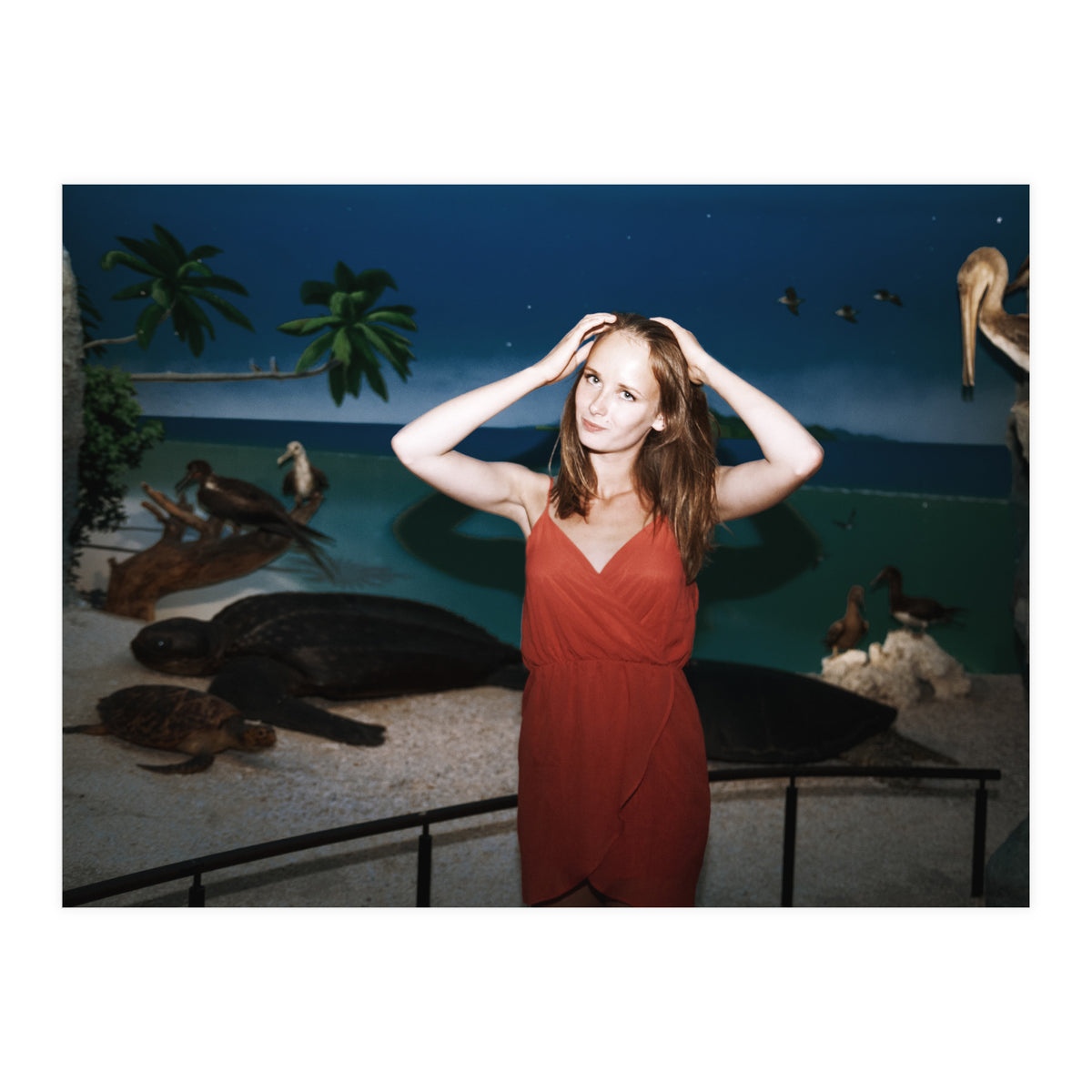 Galapagos (Print Only)