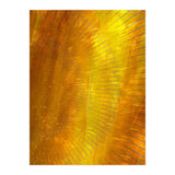 Sunset In Colors 2 (Print Only) thumbnail