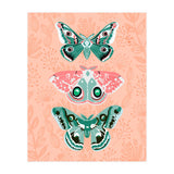 Lepidoptery No. 3 (Print Only) thumbnail