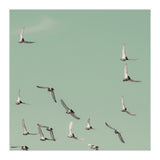 Mint Skies (Print Only) thumbnail