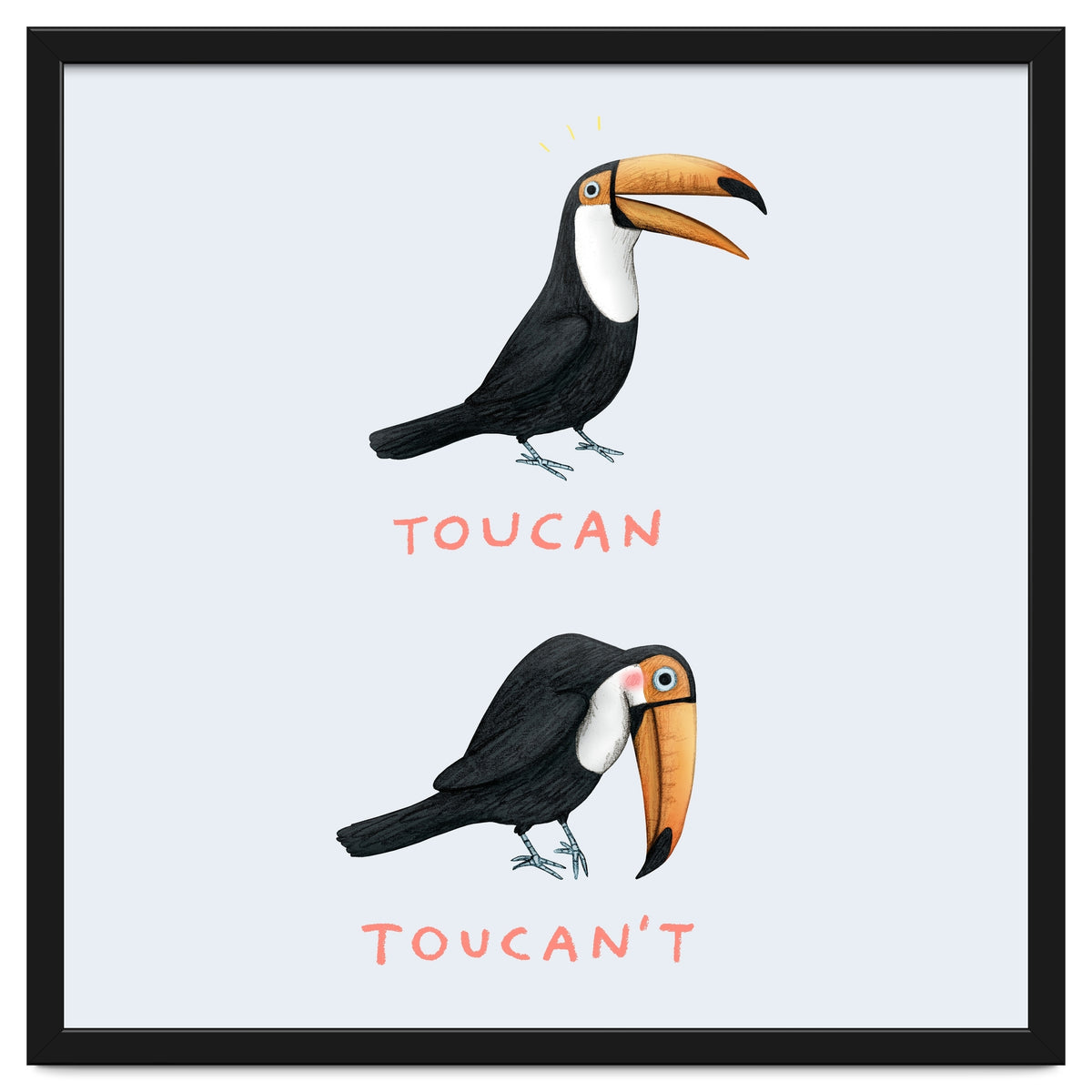 Toucan Toucan't