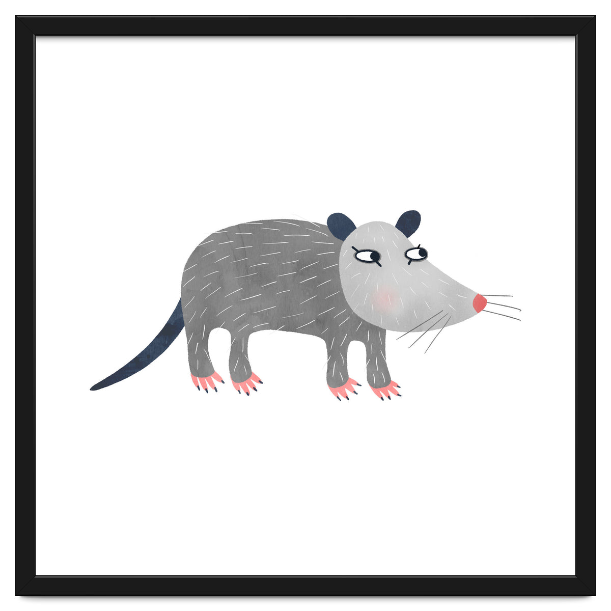 Possum