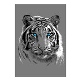 Sketch Tiger (Print Only) thumbnail