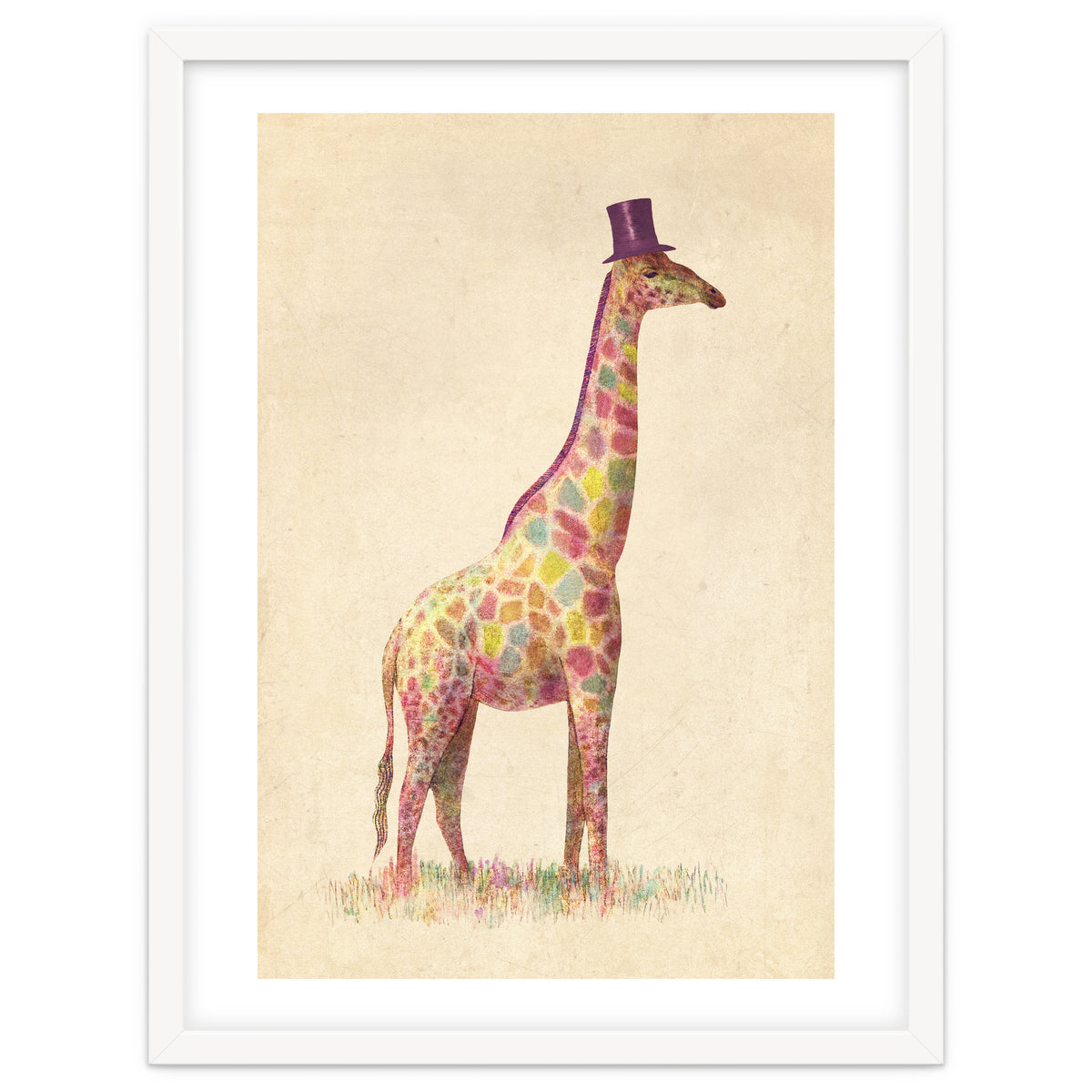 Fashionable Giraffe