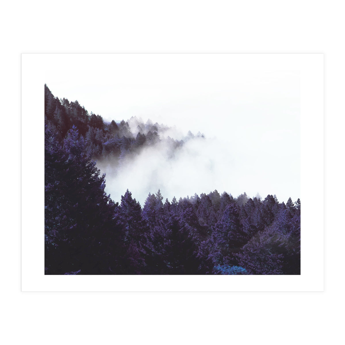 Mystery Fog (Print Only)