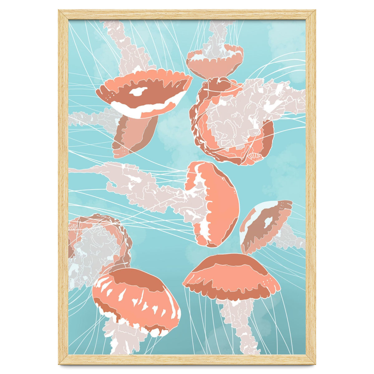 Jellyfish
