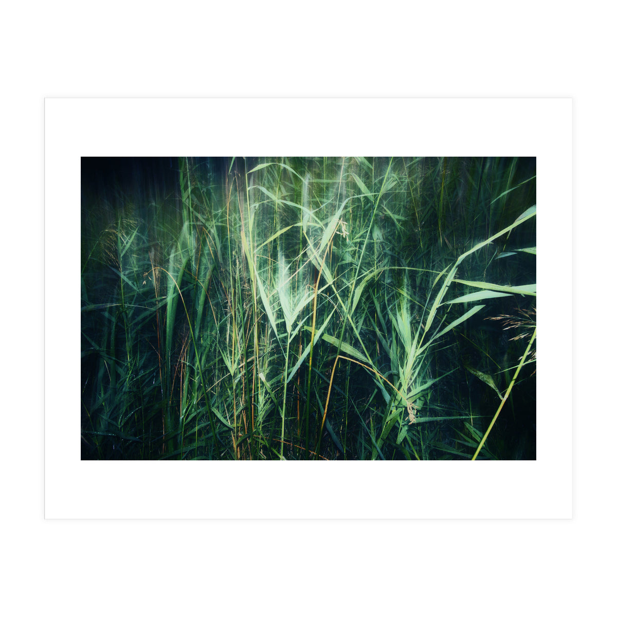 green green grass (Print Only)