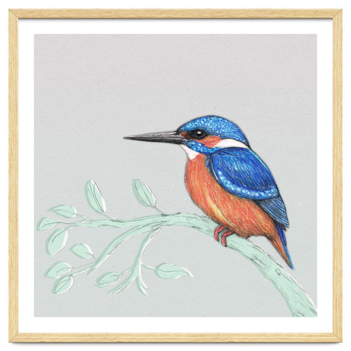 The kingfisher