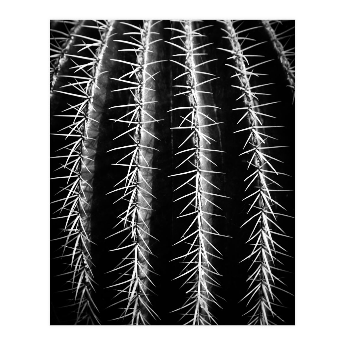 can't touch this (Print Only)