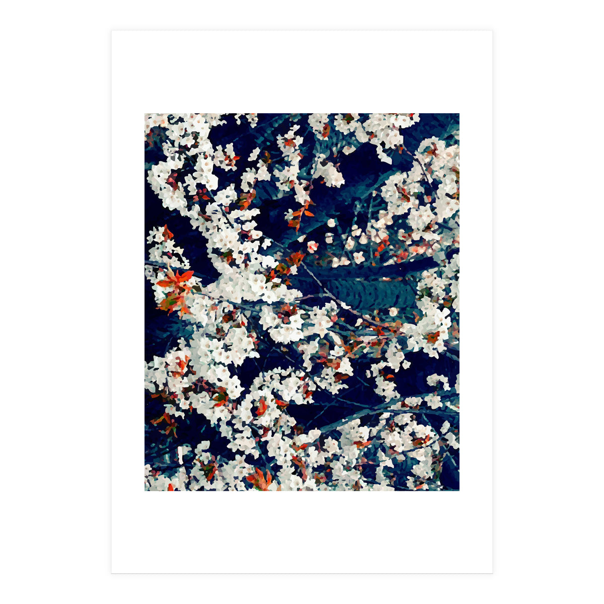 Floral Contrast  (Print Only)