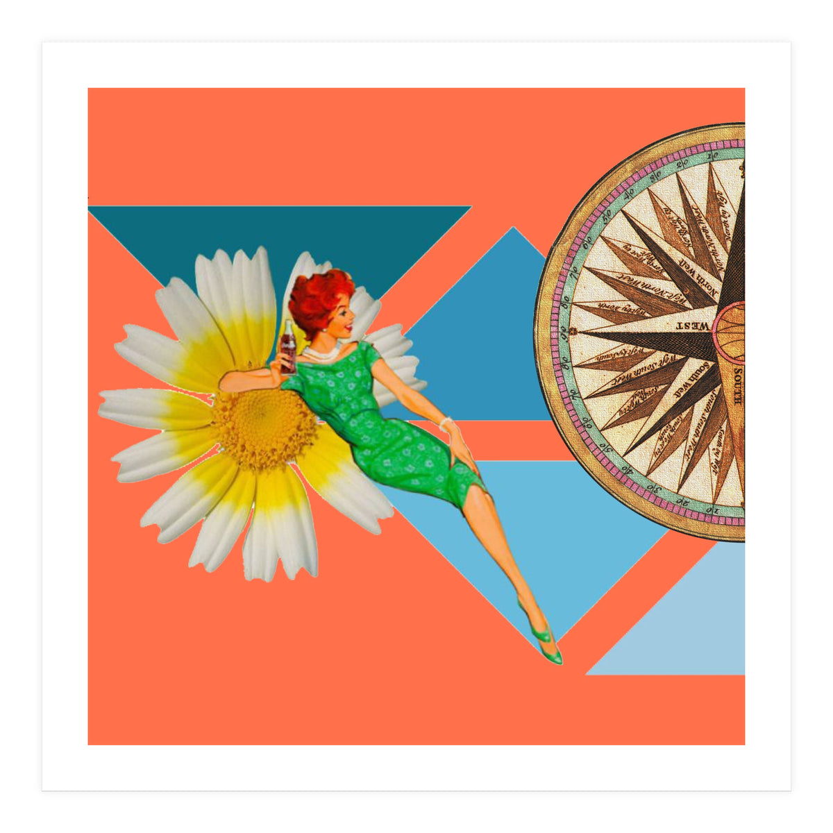 Daisy Orange (Print Only)