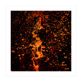 Lulu (Print Only) thumbnail