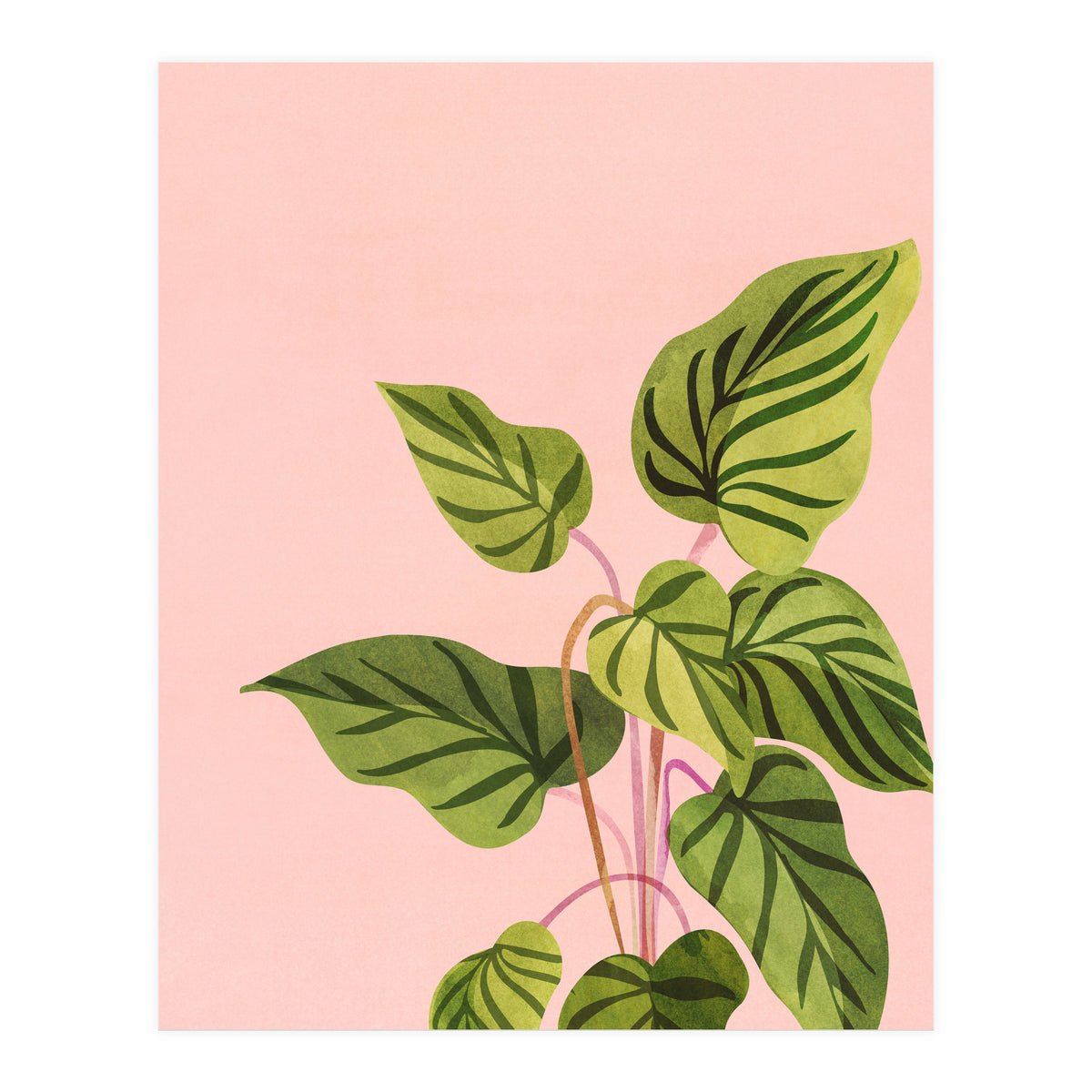 Tropical Rising (Print Only)