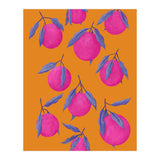 Pink Citrus (Print Only) thumbnail