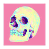 Skull (Print Only) thumbnail