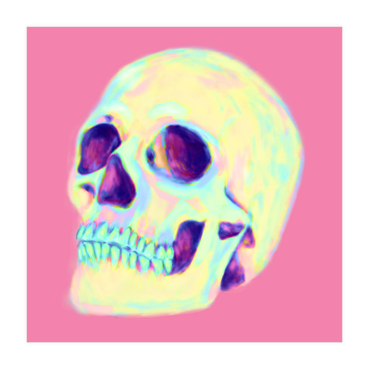 Skull (Print Only)