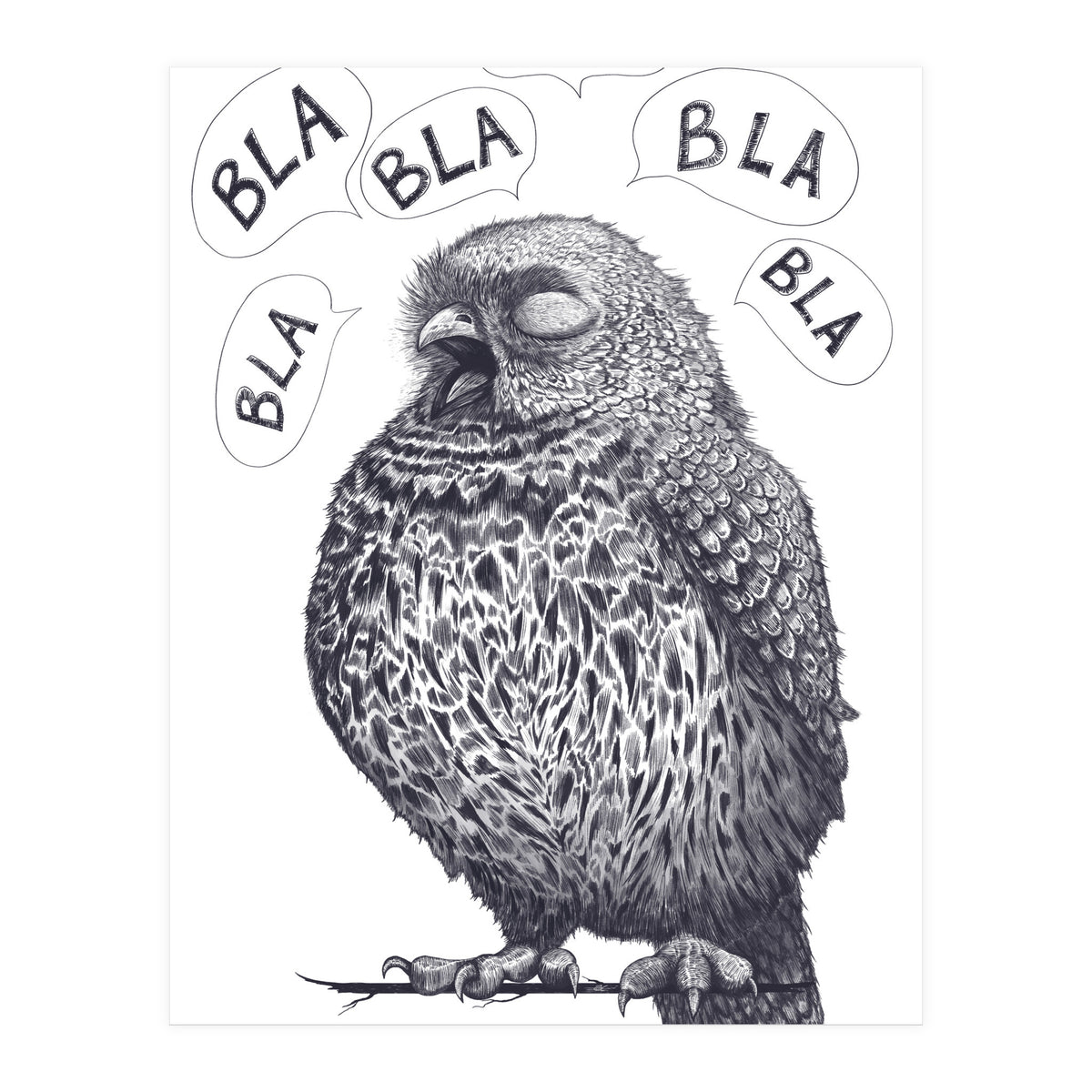 Owl Bla Bla Bla (Print Only)