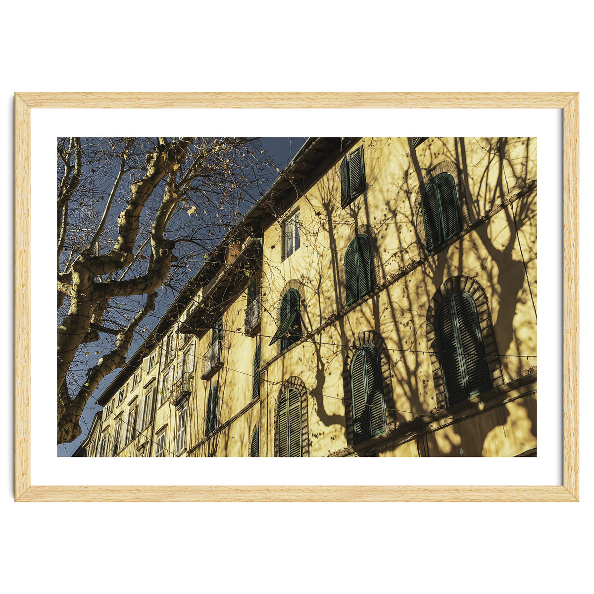 Windows From Tuscany 3