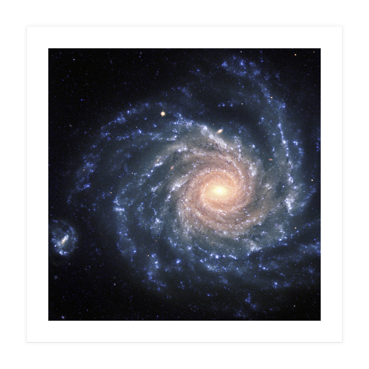 Spiral Galaxy NGC 1232 (Print Only)