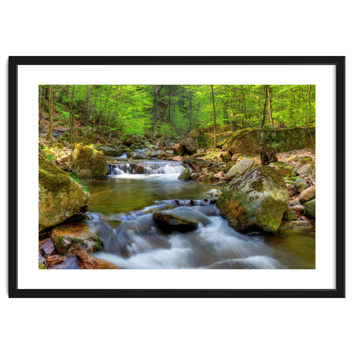 Spring At Harz Moutain