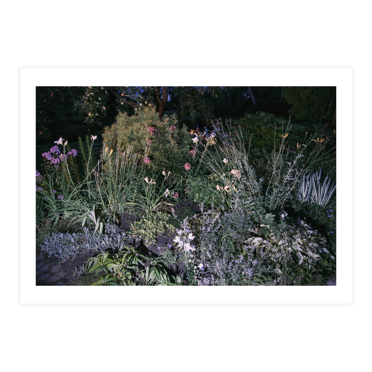 Picture Postcard Perfect (Print Only)